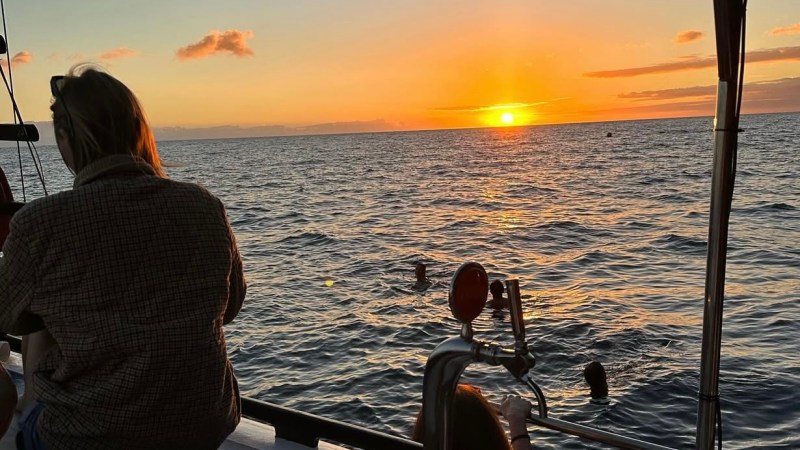a person sitting on a beach near a body of water